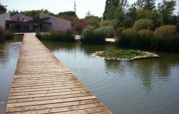 Barcelona Botanical Garden