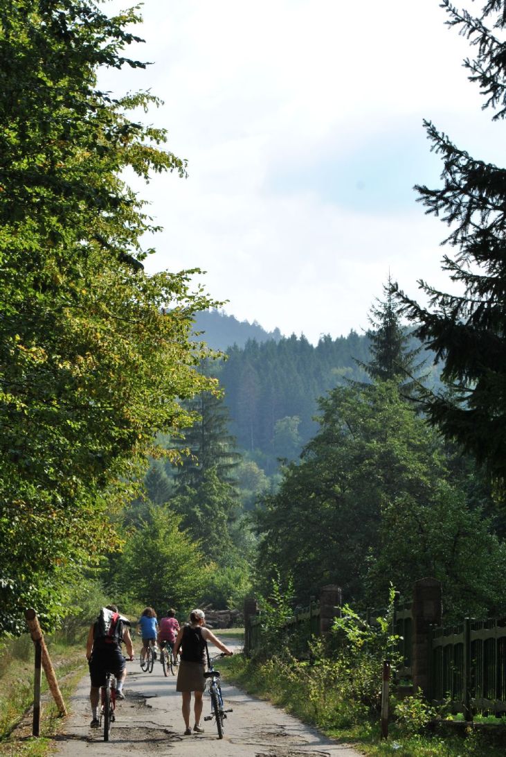 Biking around Covasna