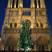 Paris by night - Notre Dame de Paris