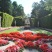 Linderhof Palace - flower garden