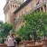 Garden of the Oranges in Castello Estense